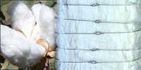 raw cotton